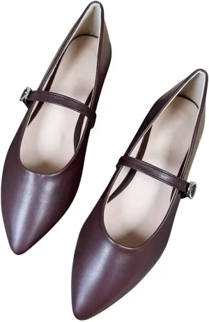 Stunner Women's Mary Jane Flats Fashion Pointed Toe Ballet Flats Comfort Buckle Strap Walk Flats